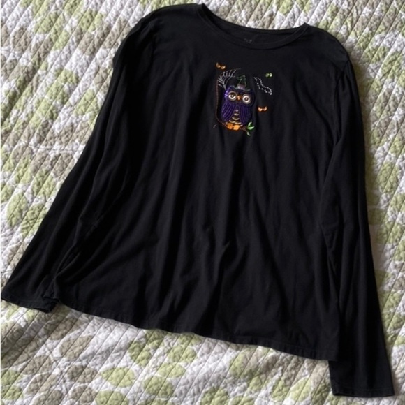 LONG Sleeve 🦉Shirt Sz-3XL Super Cute- Oct./Fall/Halloween-Embroidered & Sequins - Picture 7 of 17